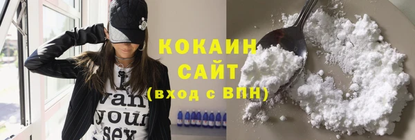 гашик Белокуриха