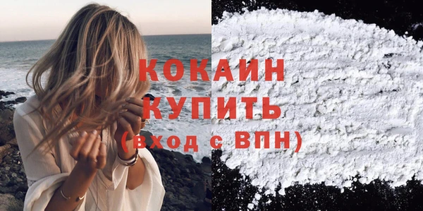 гашик Белокуриха