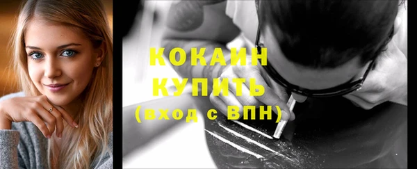 гашик Белокуриха
