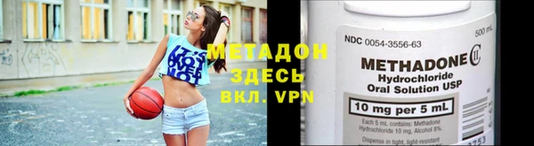 сатива Болотное