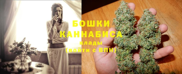 гашик Белокуриха