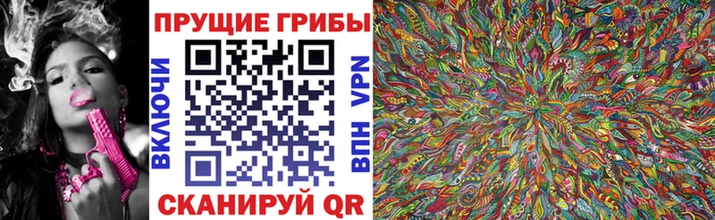 Галлюциногенные грибы прущие грибы  Тогучин 